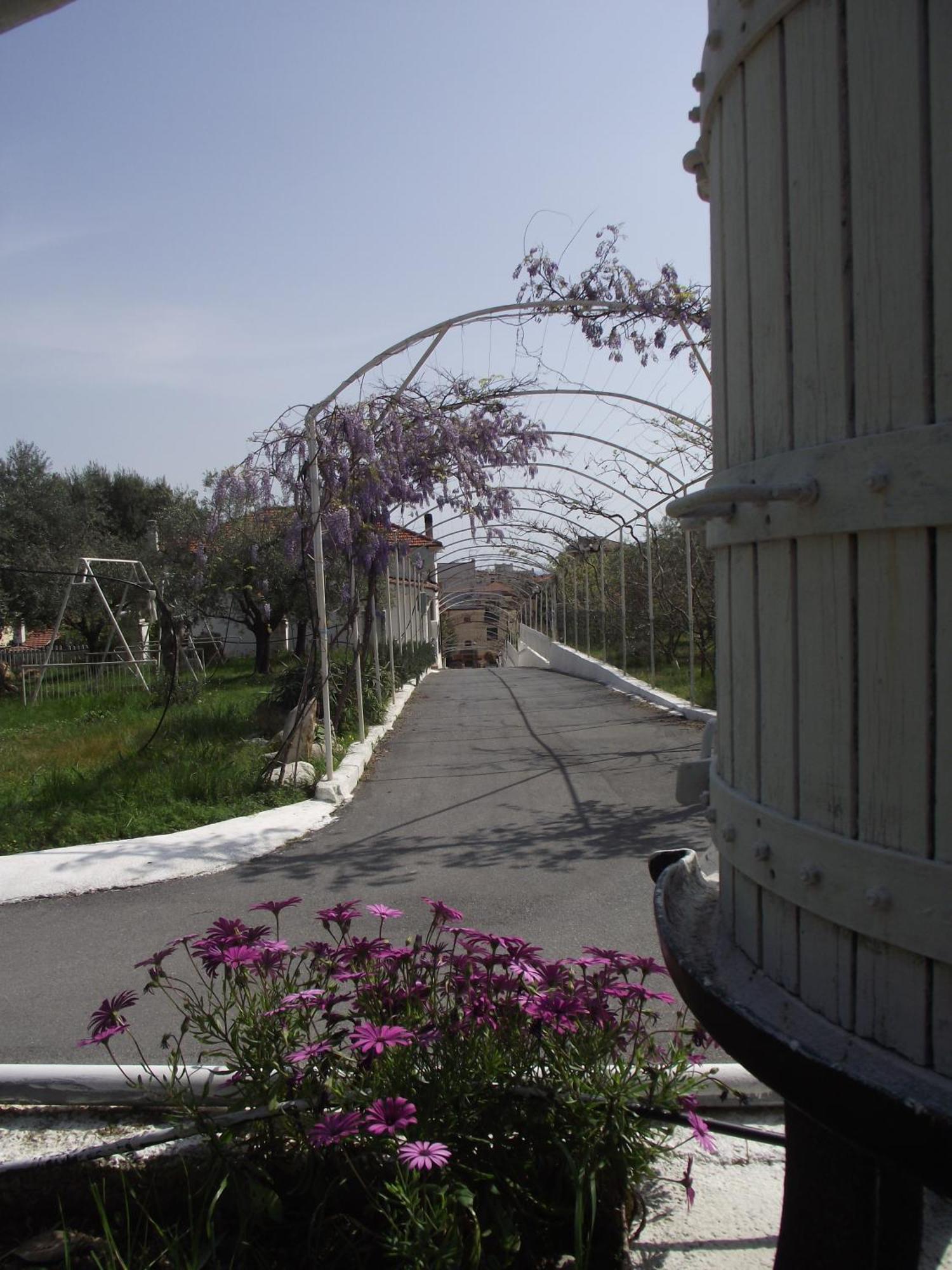 Riviera Apartments Pietra Ligure Bagian luar foto
